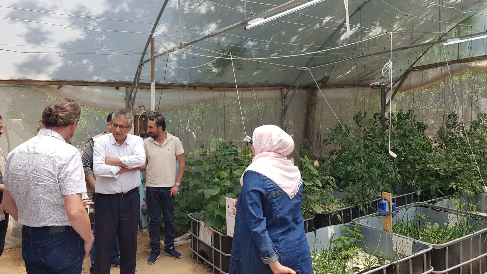 برنامج التمكين الاقتصادي
