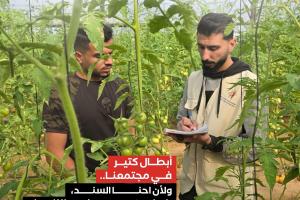 من فكرة إلى أثر: محمد يزرع مستقبلاً أخضر