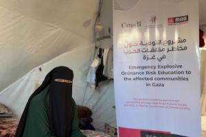 حين تحوّلت المعرفة إلى حماية