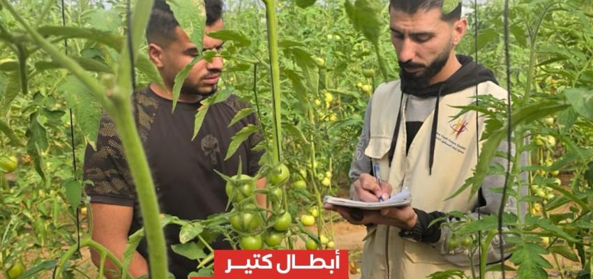من فكرة إلى أثر: محمد يزرع مستقبلاً أخضر